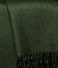 CL-810 Manta Cashlan