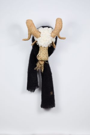 Ref.27